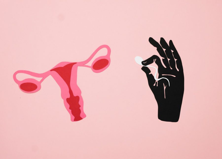 Guide to fertility journey