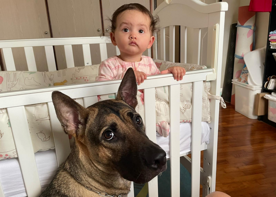 baby-advice-jill-lim-light-room
