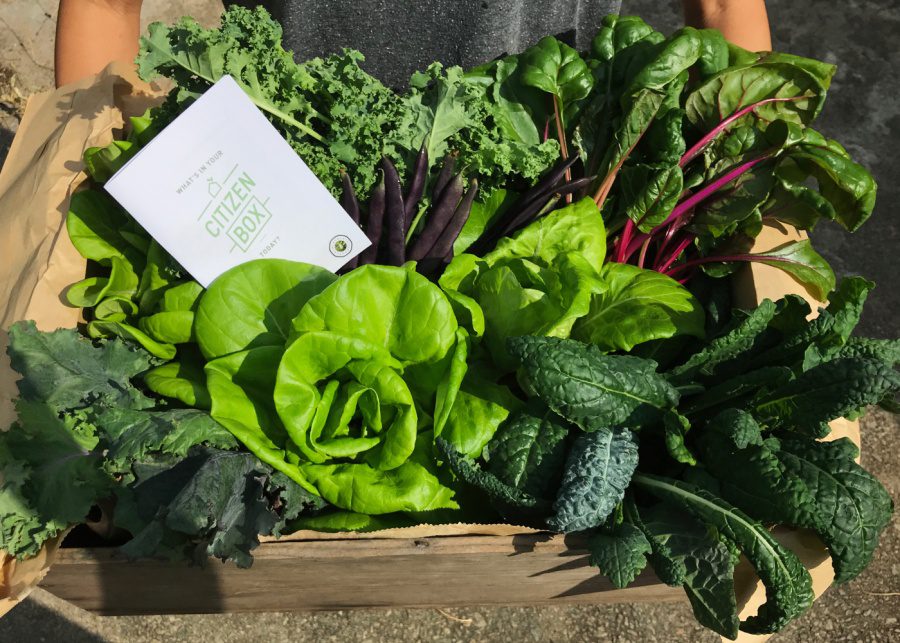 Citizen Box | Lifestyle subscription boxes