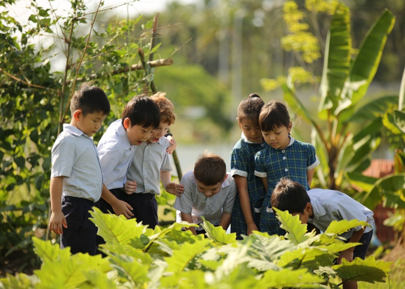 Marlborough College Malaysia