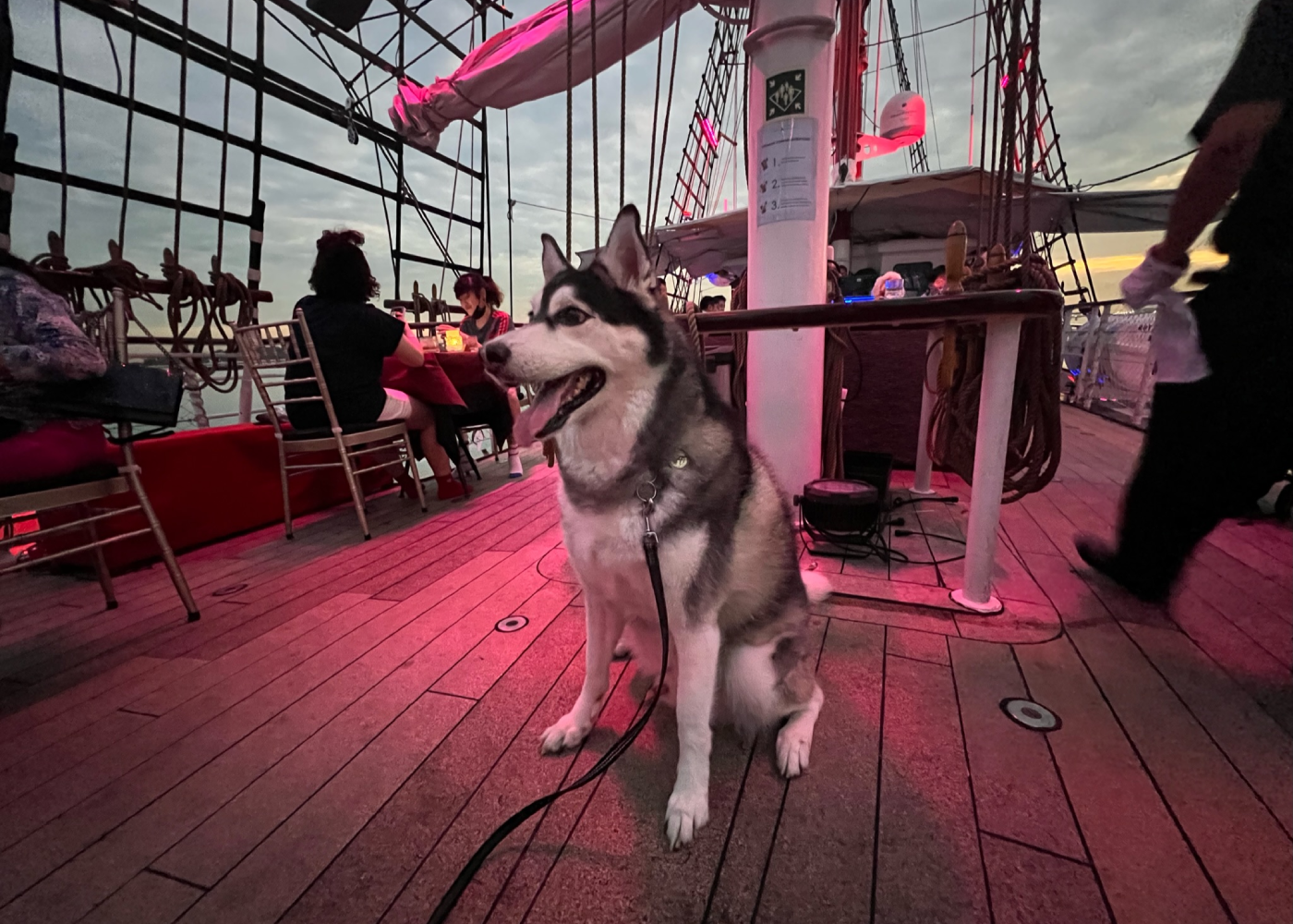 Dog Cruise Review: Here’s what to expect aboard a Pawfect Sunset Dinner Cruise (plus, win tickets for your family and pooch!)