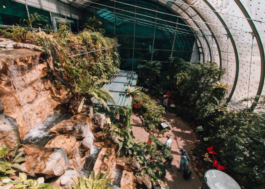 butterfly-garden-changi-airport-singapore