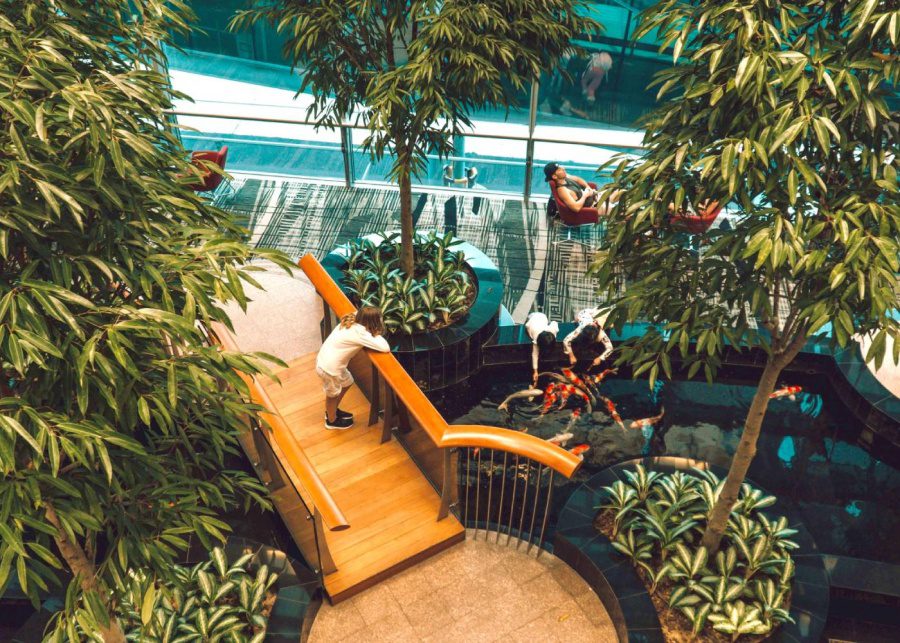 koi-fish-gardens-at-changi-airport-singapore