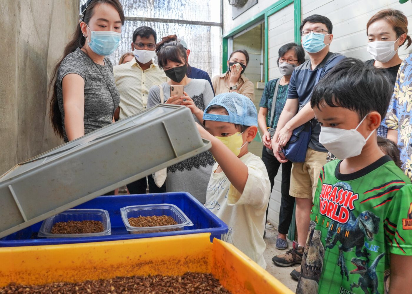 Go beyond the classroom with these 5 offbeat experiences for the family on Pelago