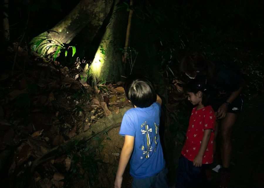 night out naturalist night adventure