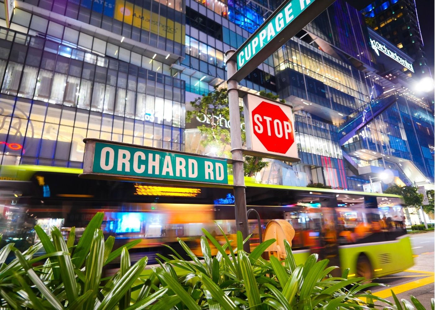 Family-friendly dining around Orchard Road: burgers, pizza, local food and more
