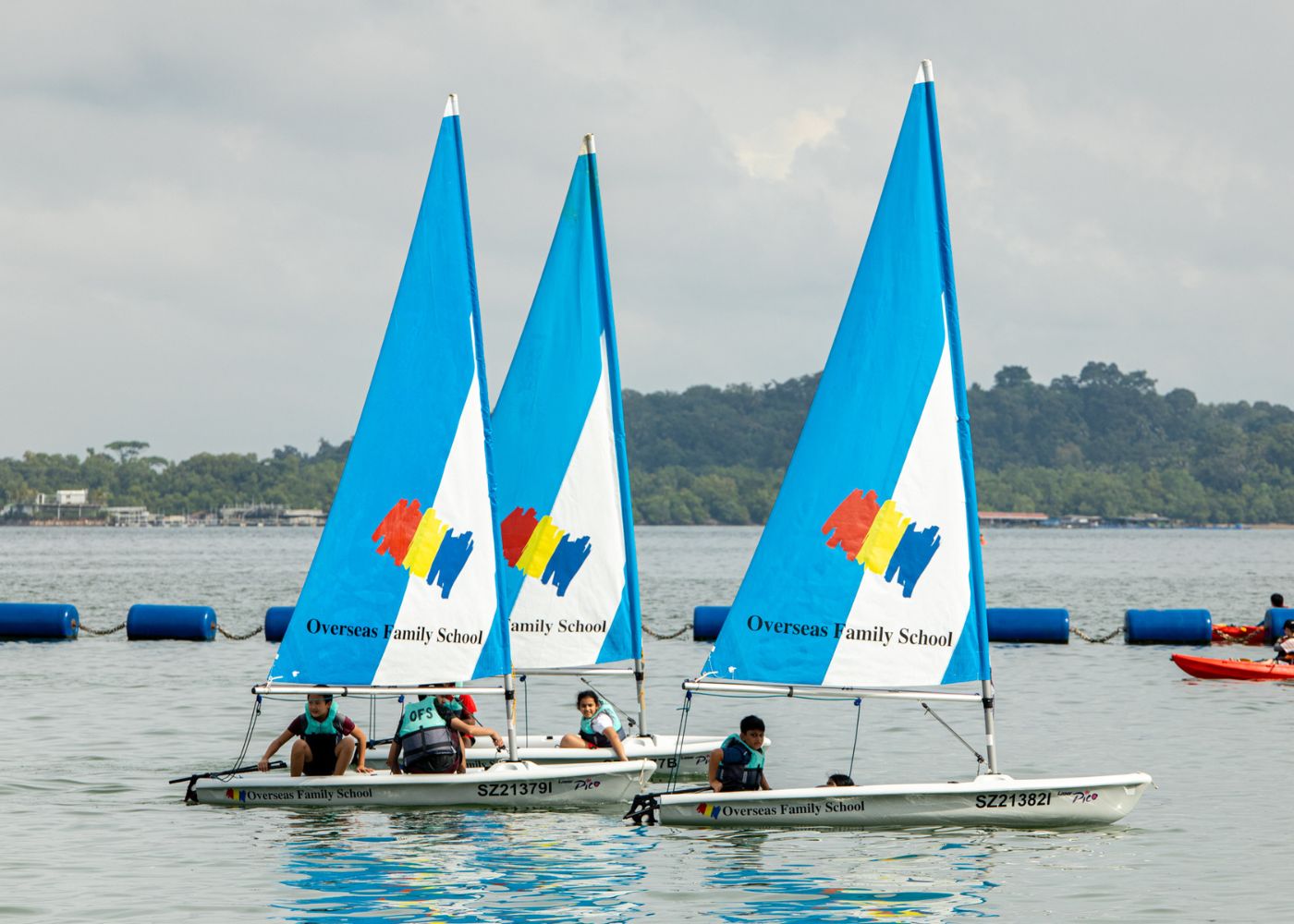 sports program ofs sailing