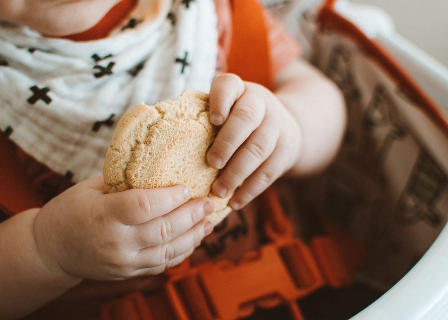 recipes gerber