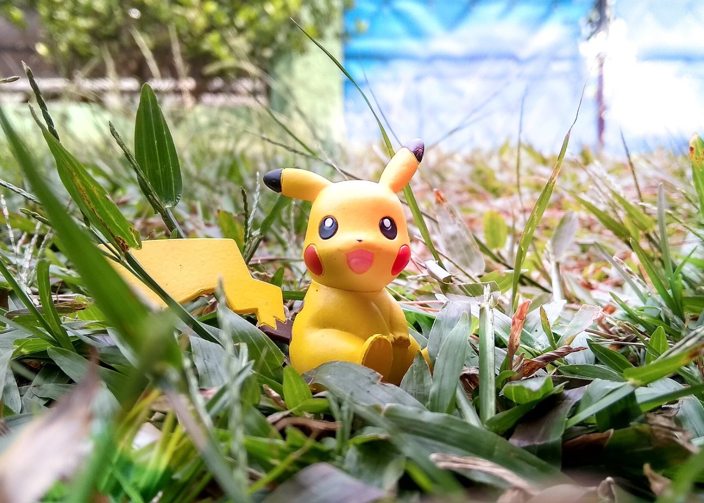 Where to find Pokémon in Singapore