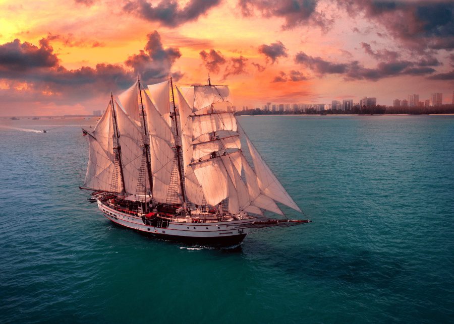 royal albatross sunset sail city lights cruise