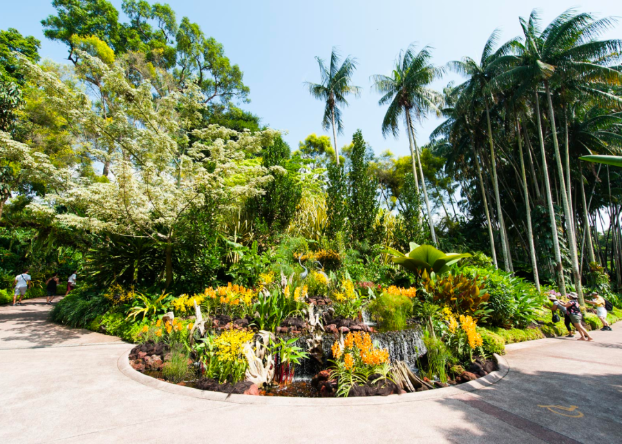 Singapore Botanic Gardens weekend workshops