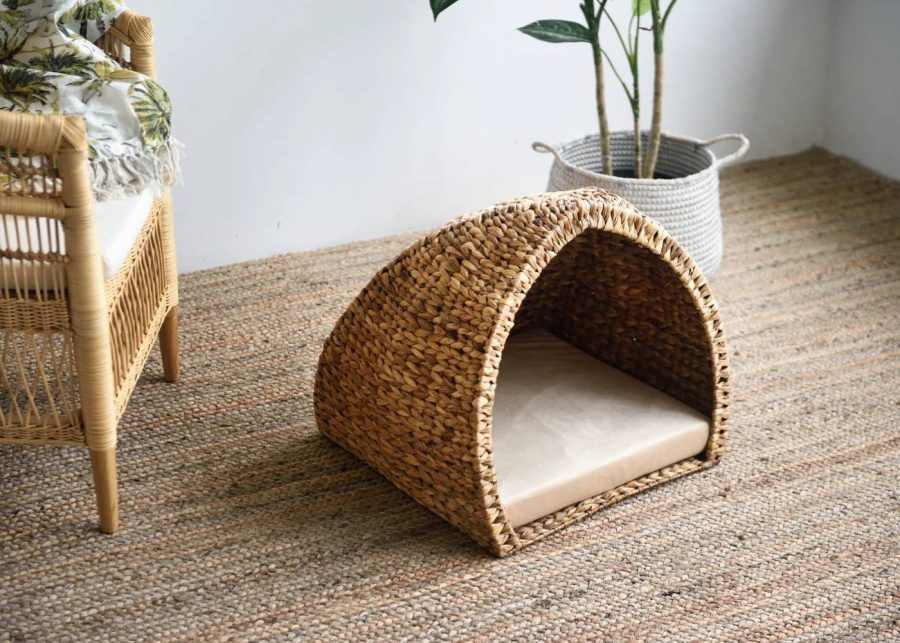 christmas-gifts-for-pets-singapore-island-living