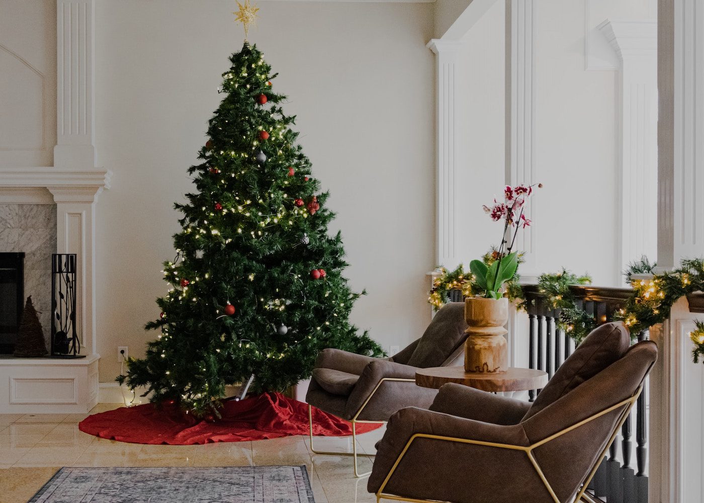where to buy christmas trees singapore