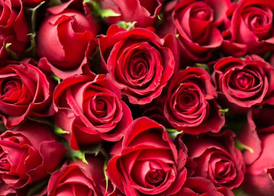 best-valentines-gifts-singapore-flowers-roses