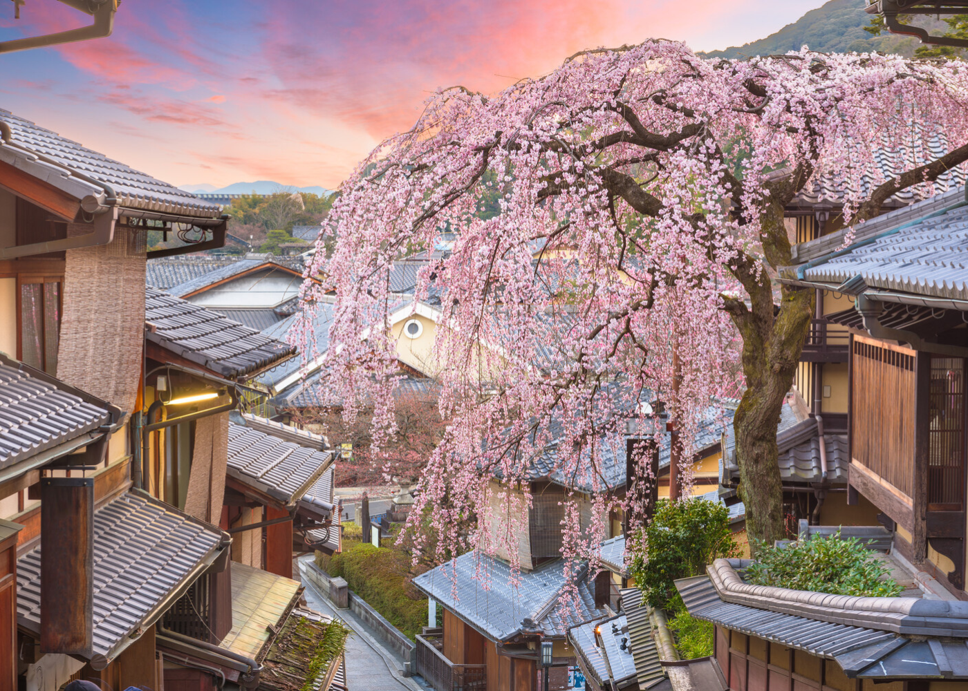 Marriott Japan travel with kids