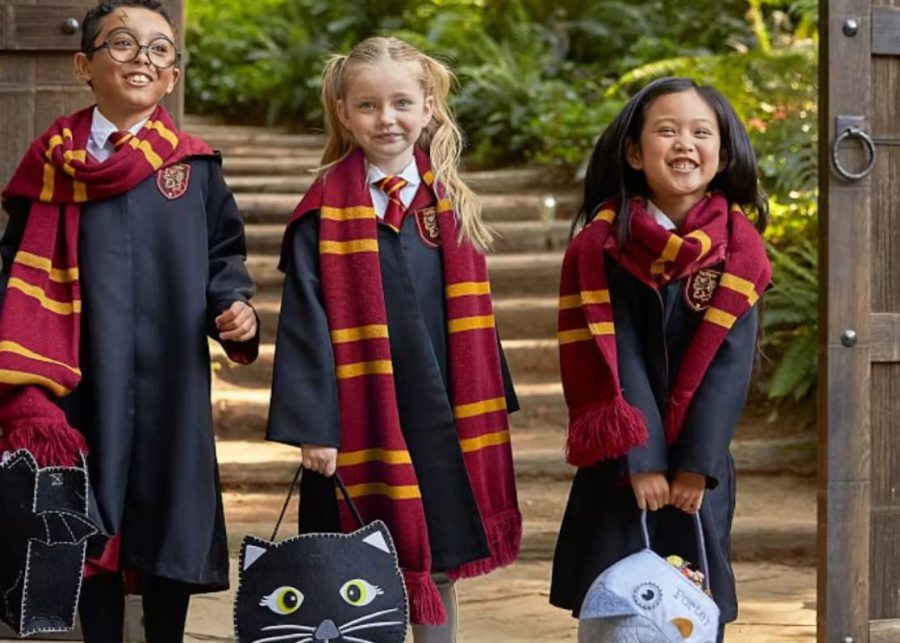 Book Character Day Harry Potter