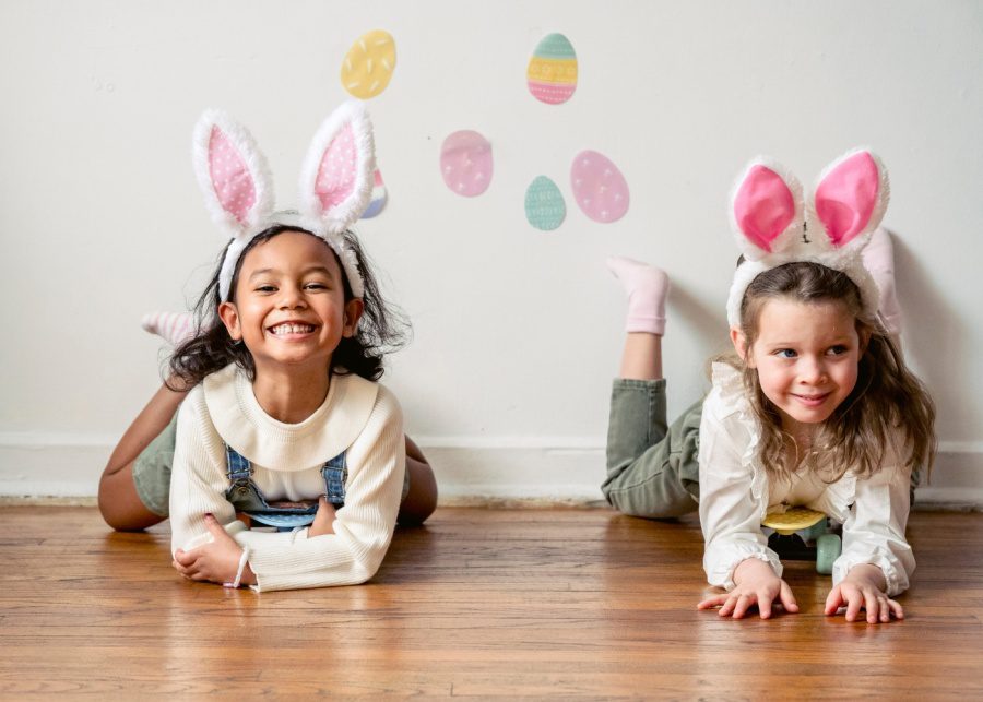 Book Character Day dress up rabbit costume