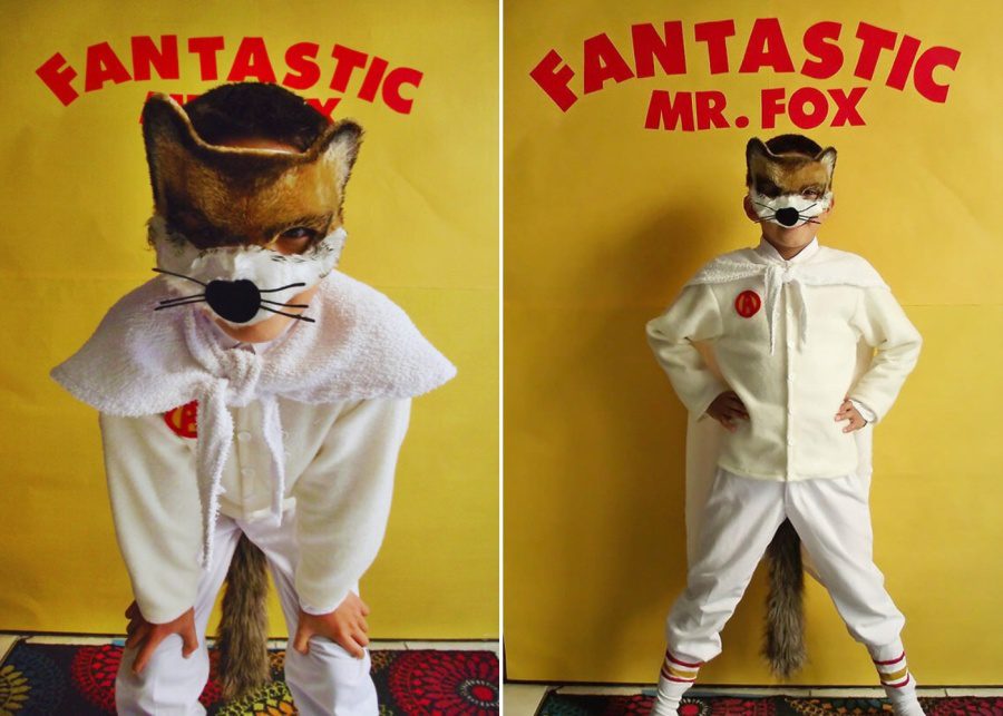 Book Character Day Fantastic Mr Fox