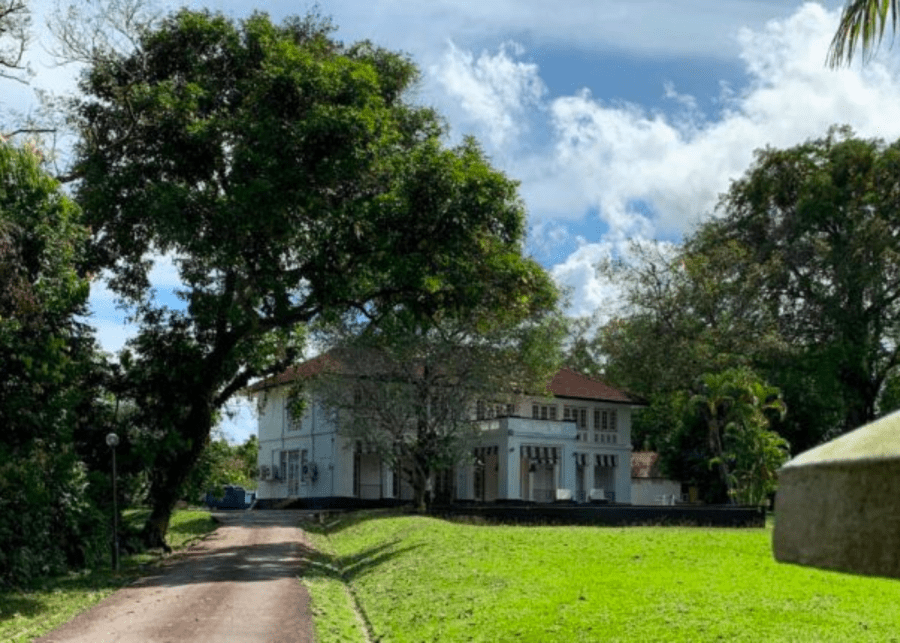Jane's Tours Singapore