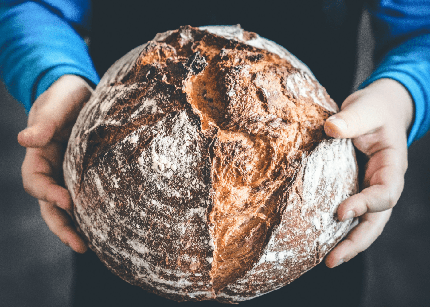 Sourdough | Bread recipes