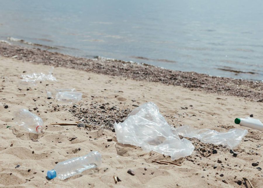 plastic waste on a beach