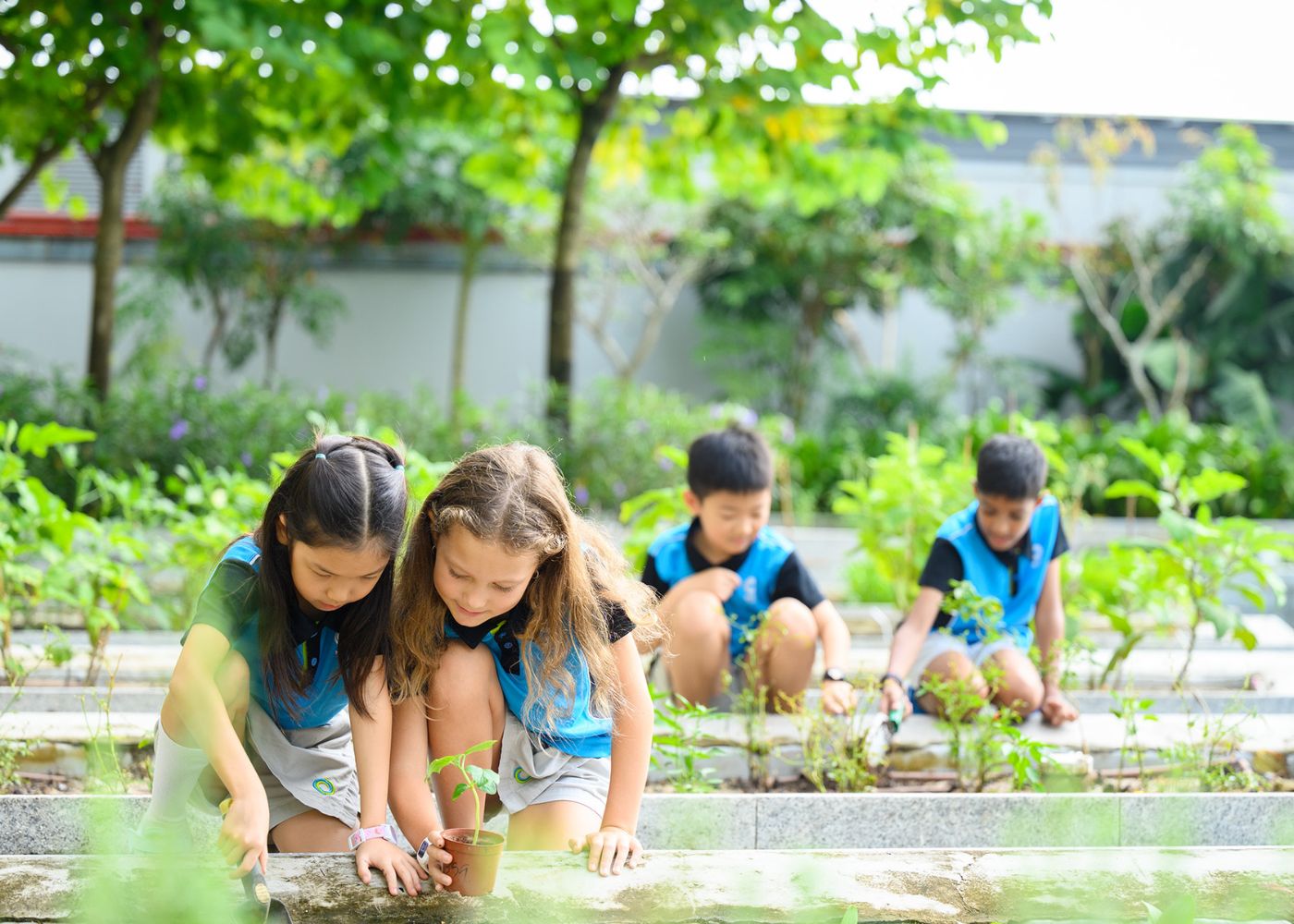 sustainable schools nexus