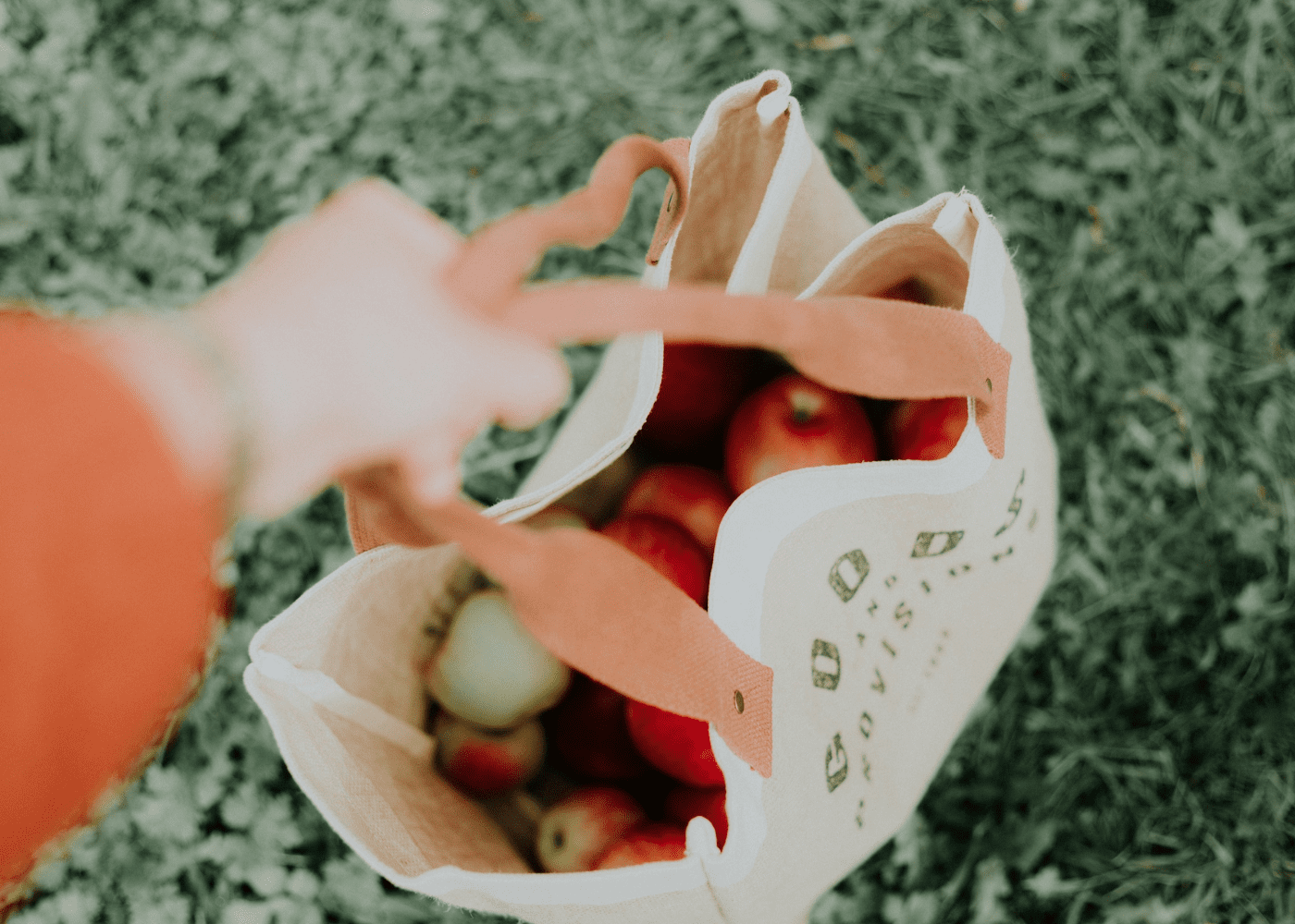 Eco-friendly shopping bags perfect for grocery shopping in Singapore
