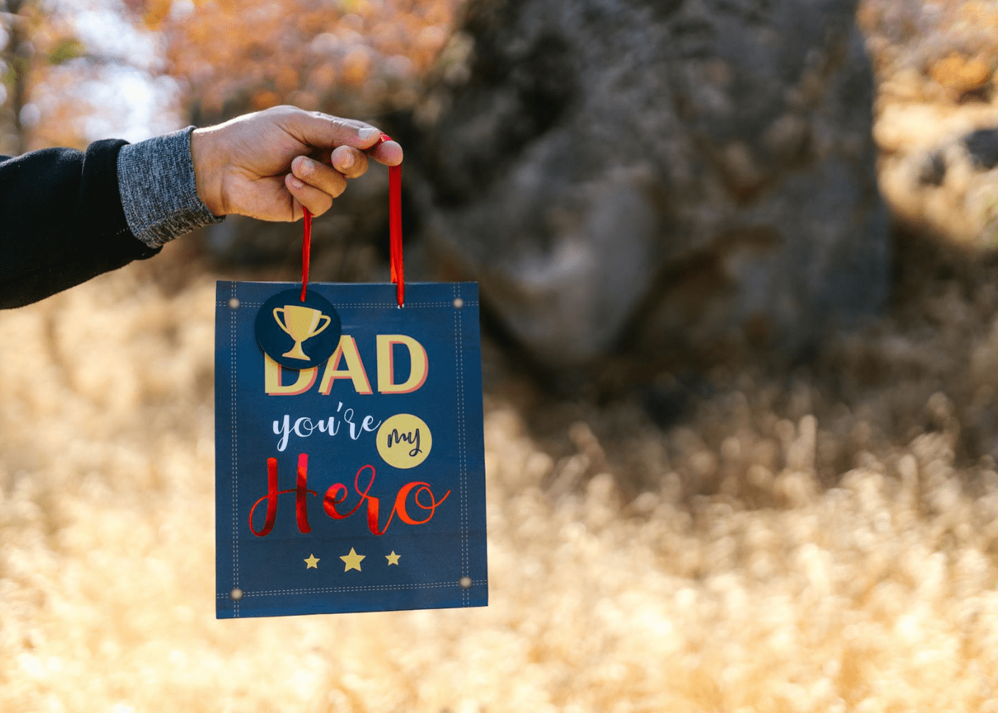 Father's Day crafts