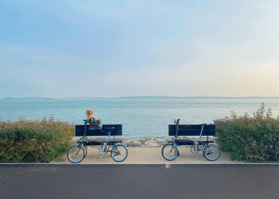 Changi Bay PCN with dog \| Singapore Park Connector Network