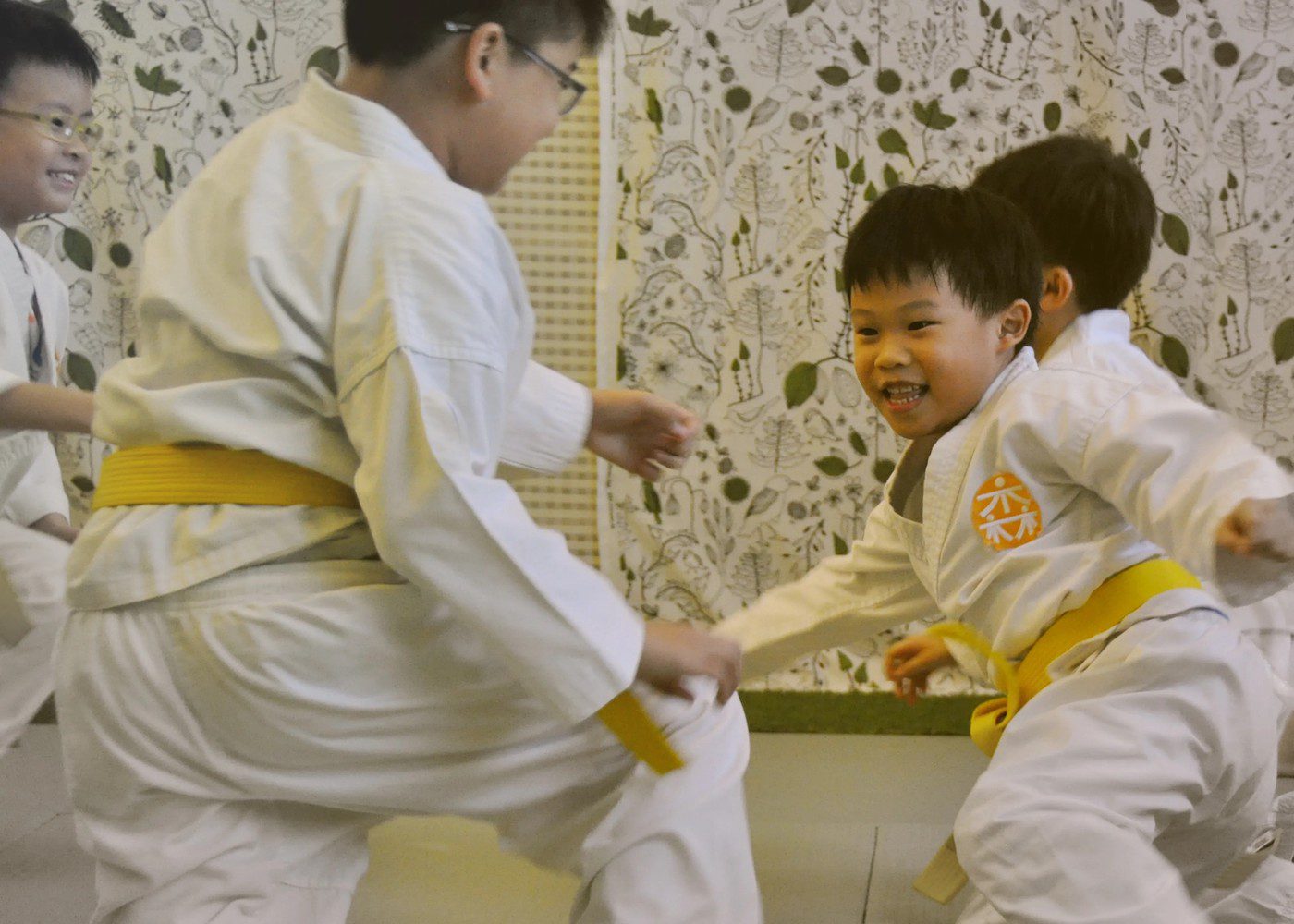 aikido class kids singapore aikiForest