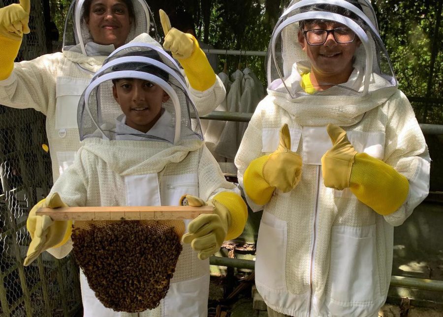bee amazed garden singapore