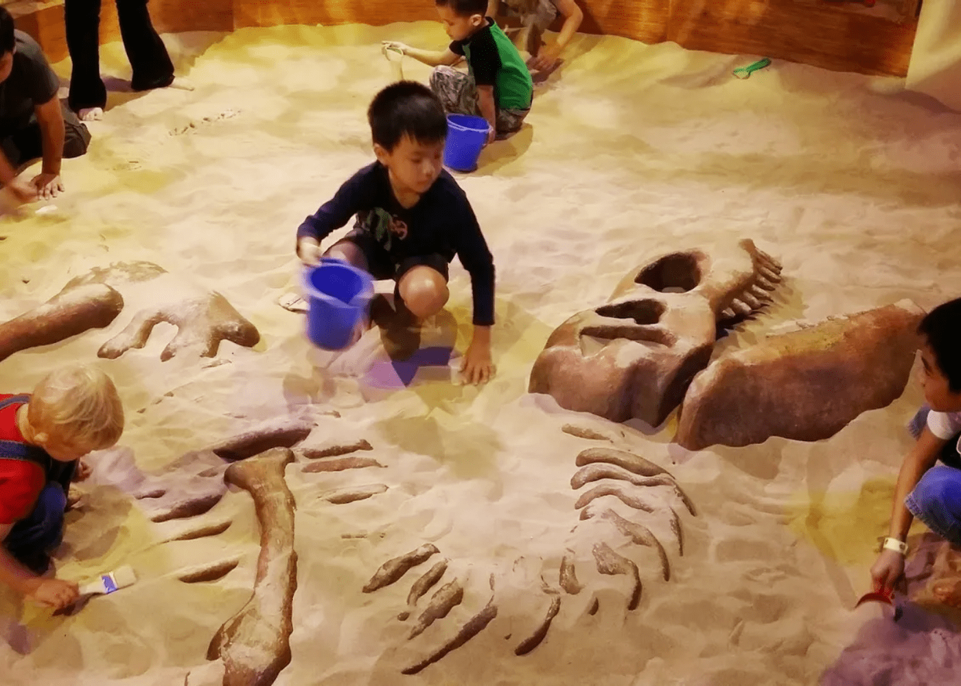 Kids Stop Dino Pit Science Centre Singapore