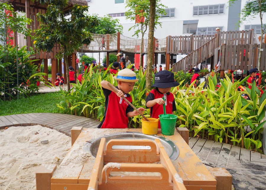 cis discovery day