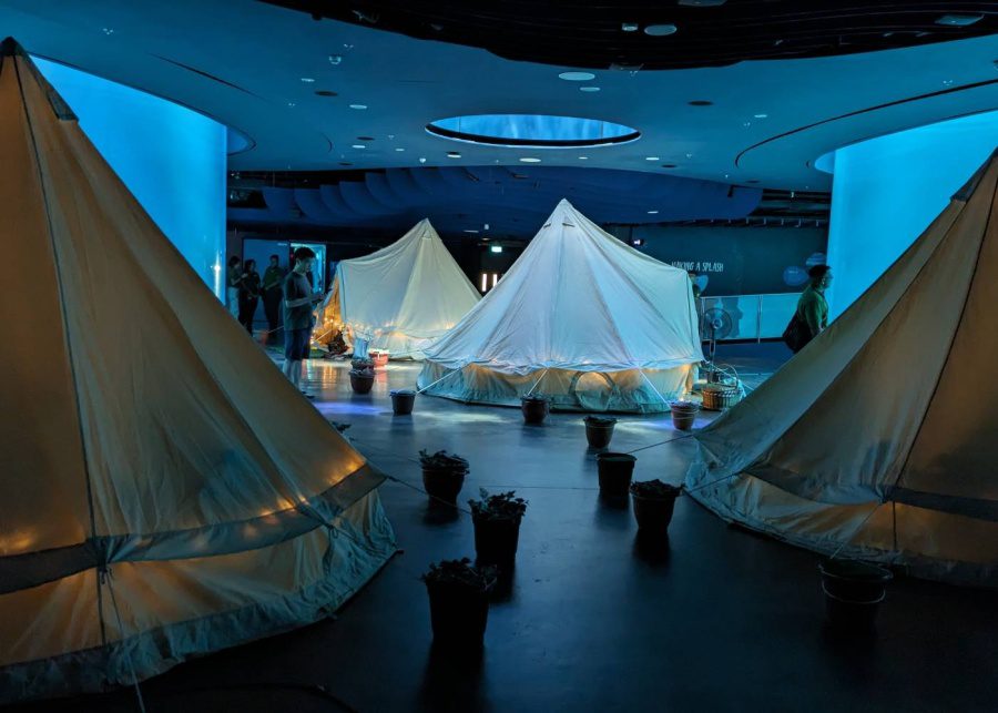 glamping experiences in singapore bird paradise