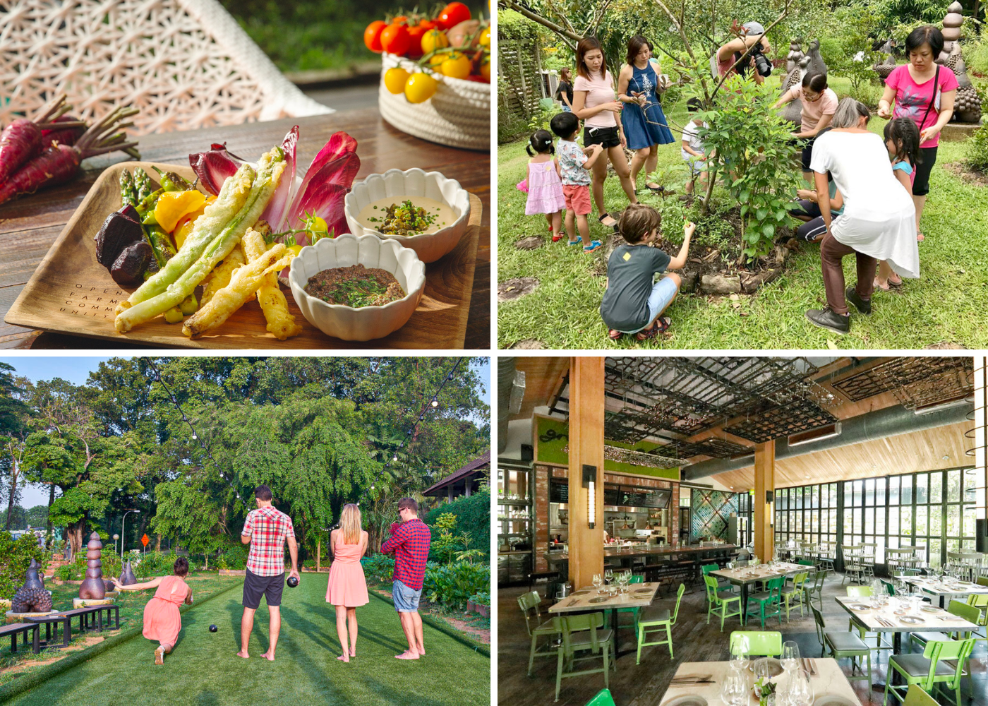 Open Farm Community Singapore Brunch spots