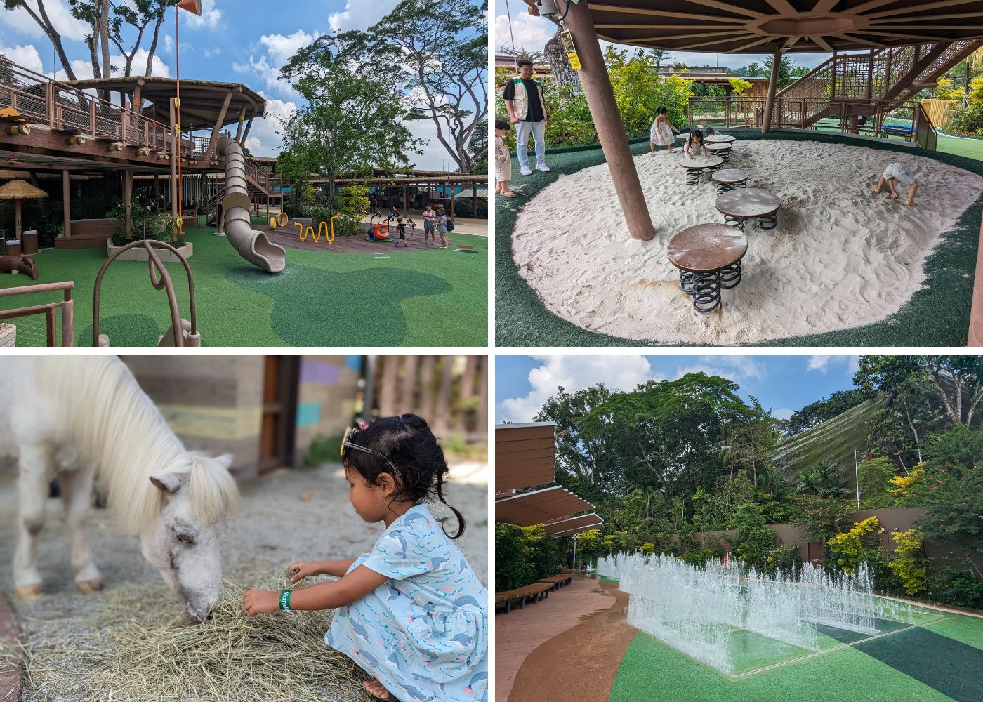 Ultimate guide to Singapore Zoo with kids: Ticket prices, animal shows & more