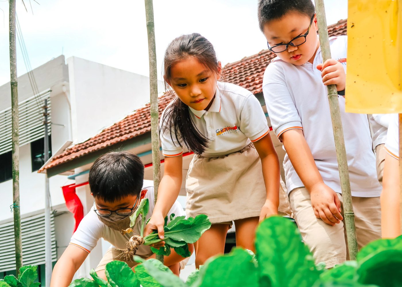 grange sustainable school