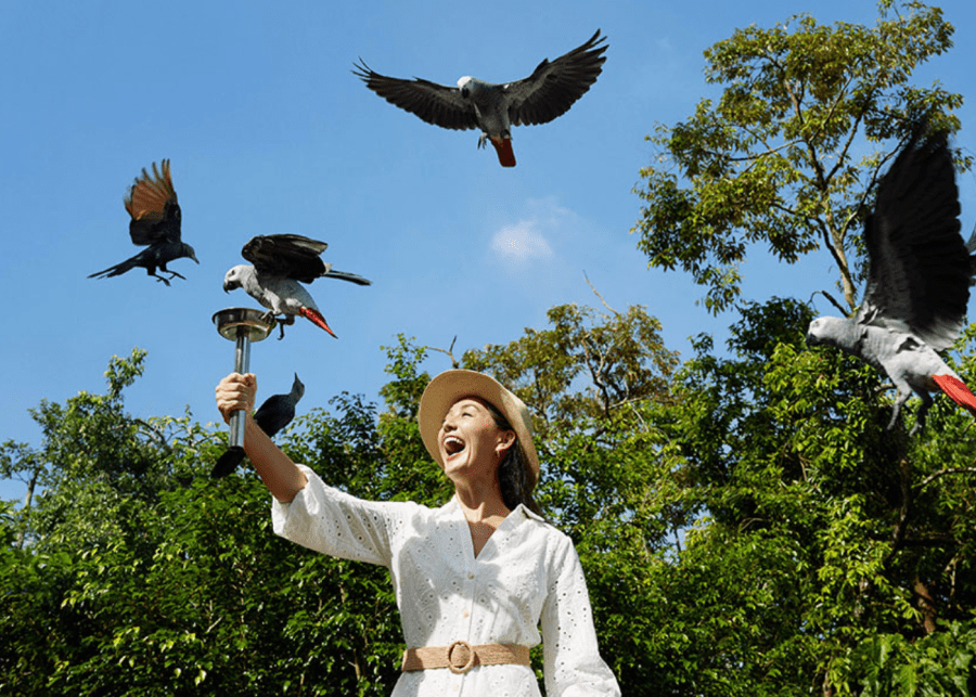 Bird Paradise Heart of Africa