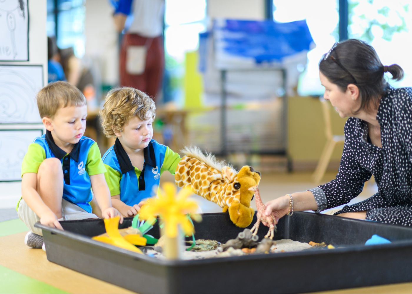 preschool curriculum nexus