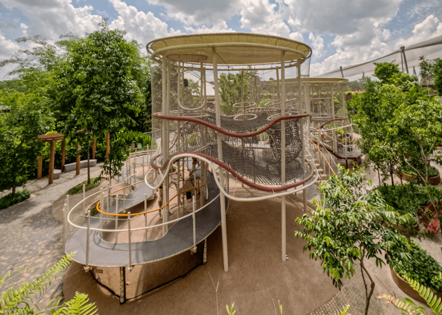 Tree Top Play area Bird Paradise