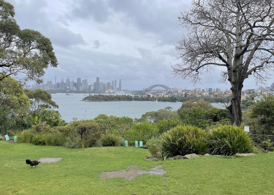 sydney Views from wildlife retreat Taronga