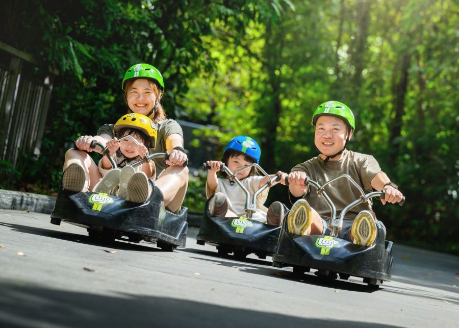 things to do with kids in singapore skyline luge
