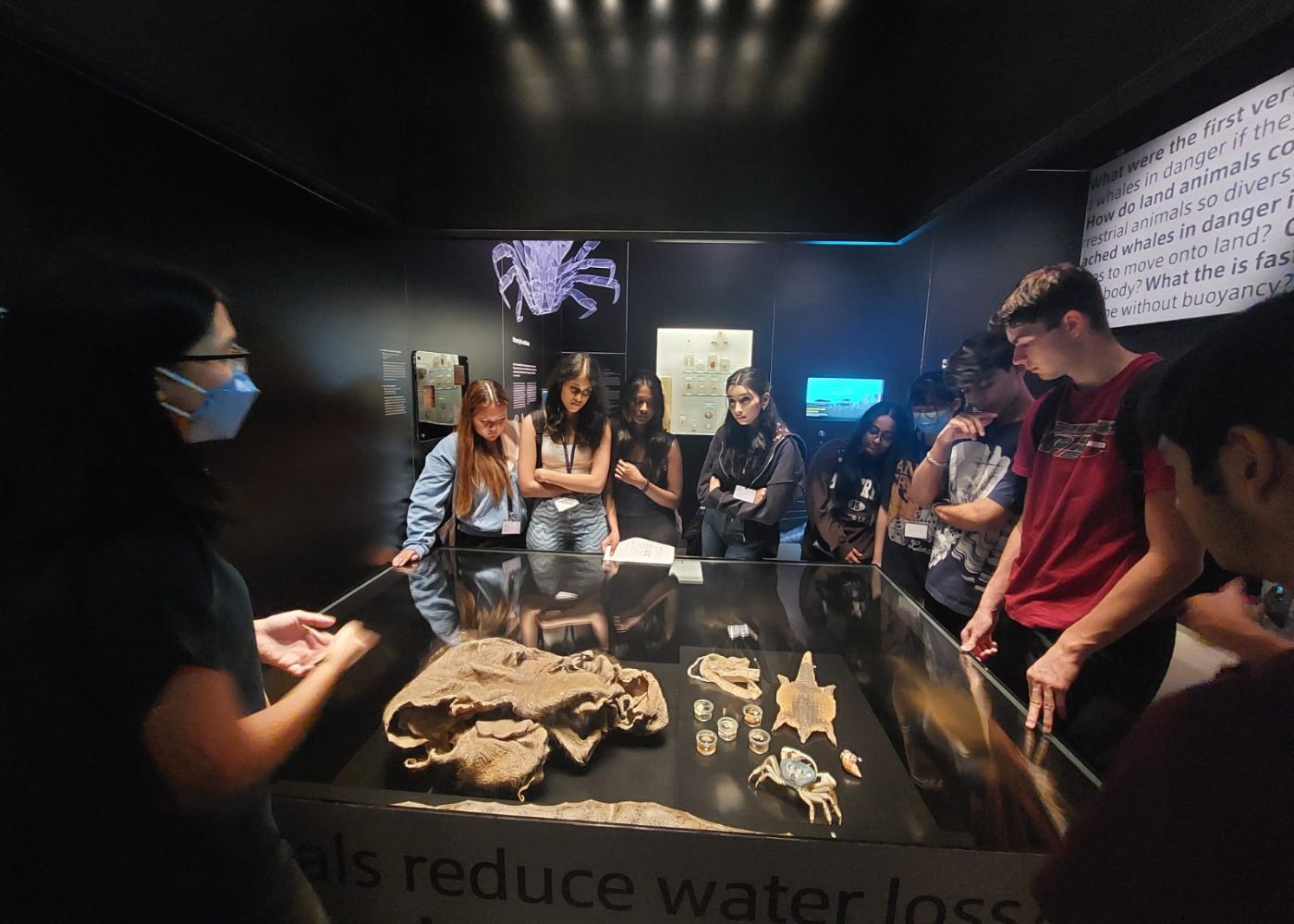 field trip ofs lee kong chian museum