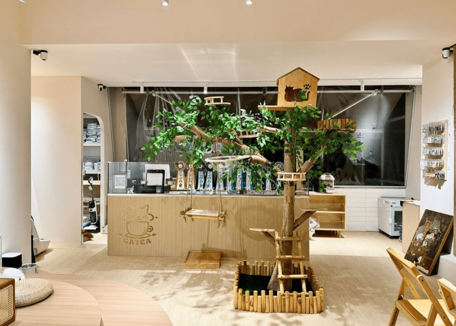 CATEA | cat cafes singapore