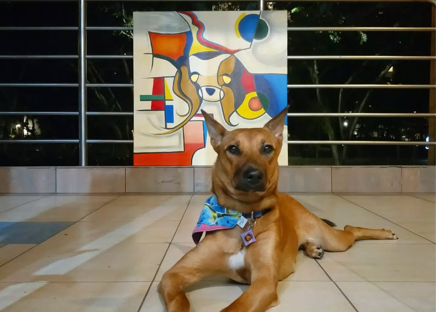 Pet friendly art jam Avant garde art space