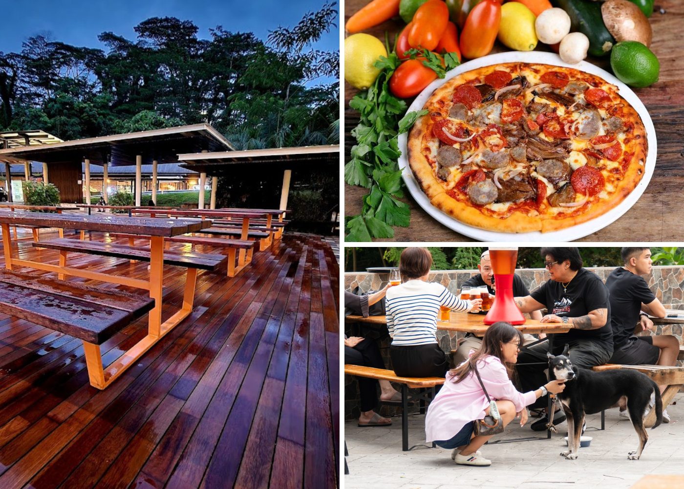 pet friendly restaurant Little Island Brewing Co