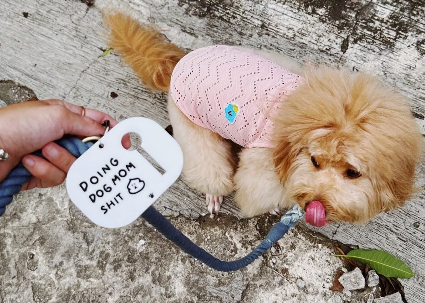 Dog Merch Brown and Butter