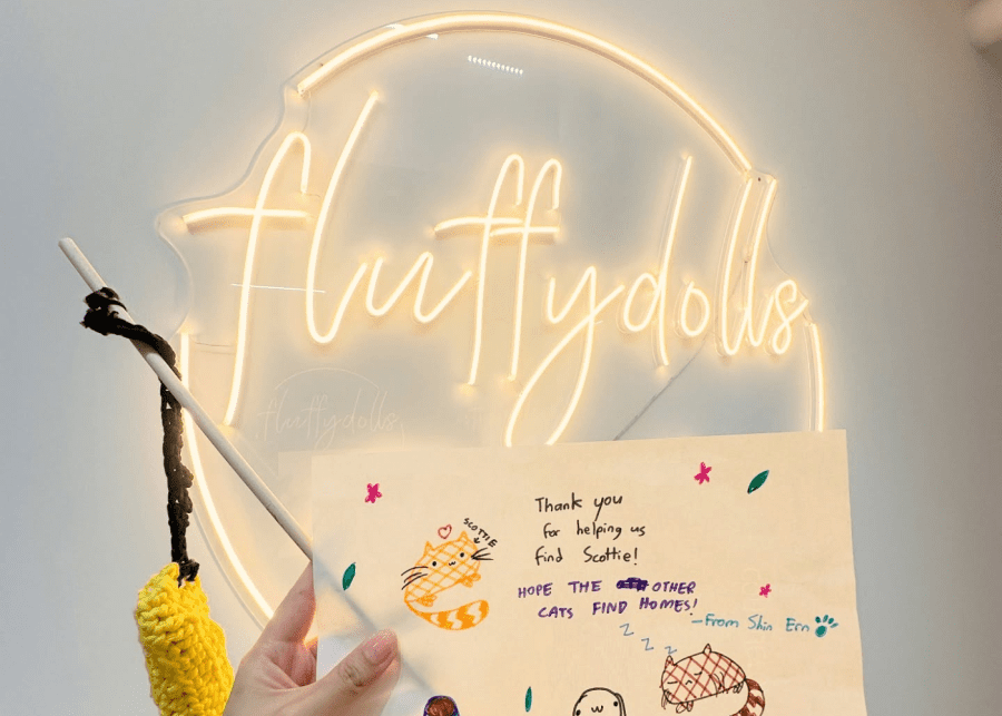 Fluffydolls Catfe | cat cafes singapore