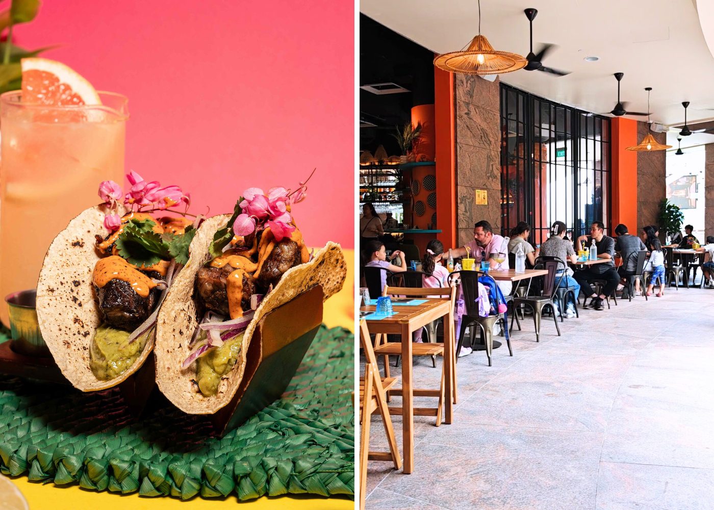 pet friendly restaurant tomatillo