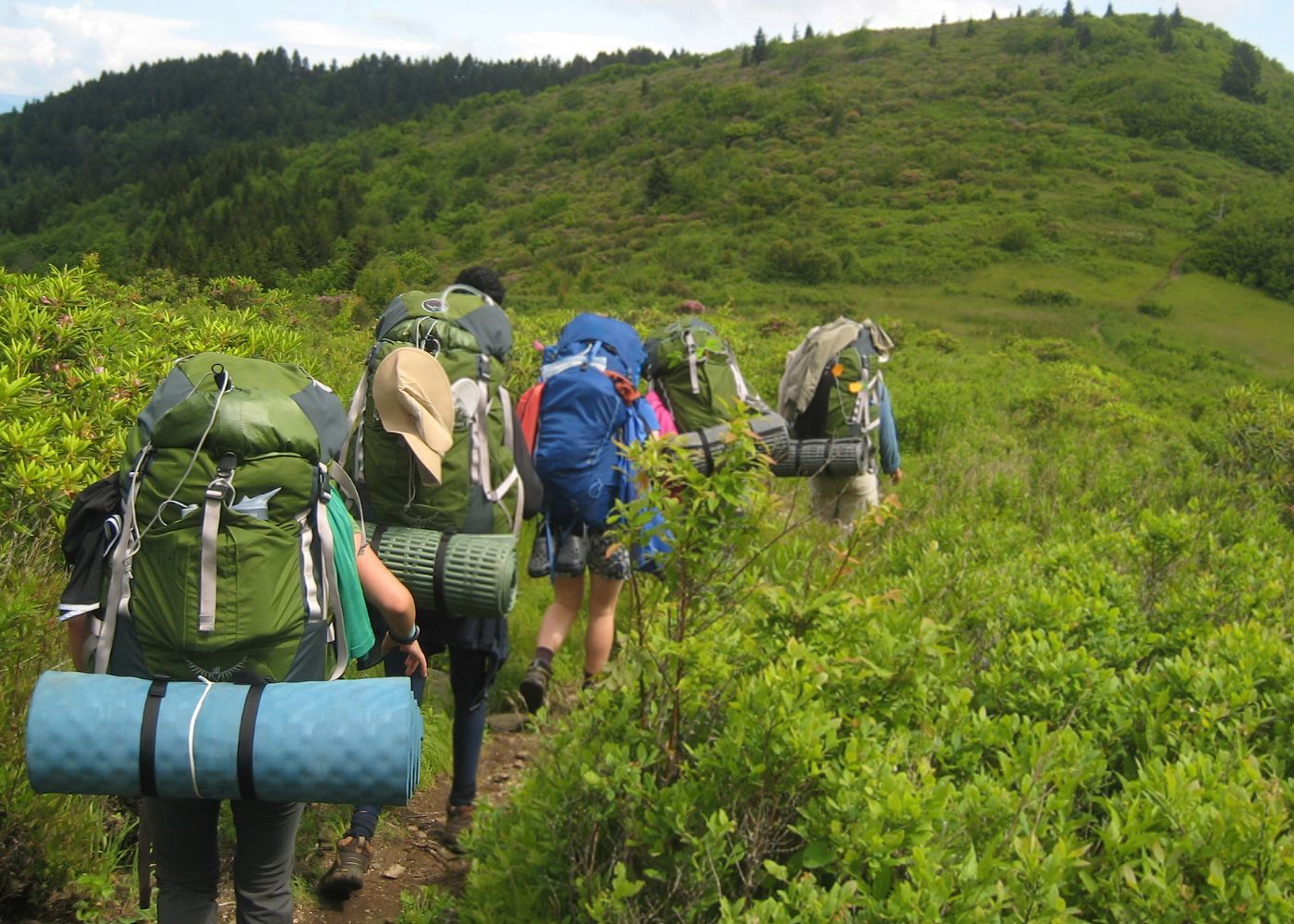 Introducing the Tanglin Highlands Programme, a new experiential learning adventure by Tanglin Trust School held in Australia